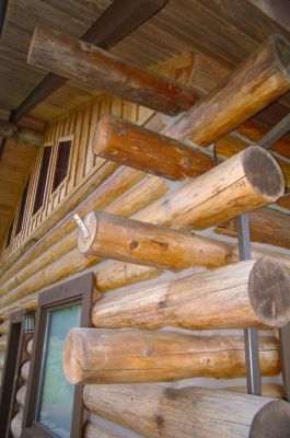 Top-Quality Log Care